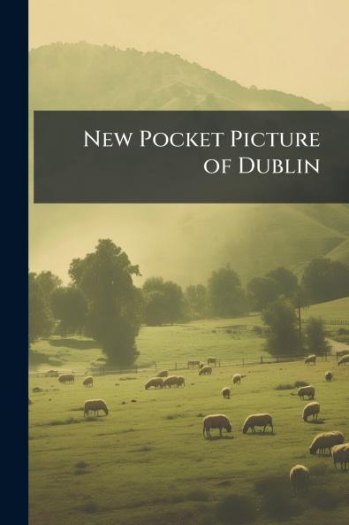 New Pocket Picture of Dublin