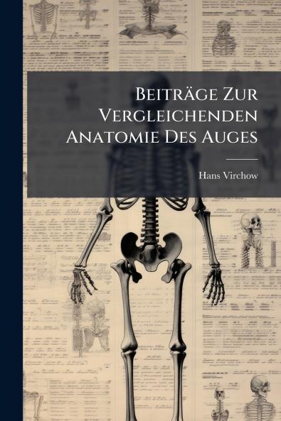Beiträge Zur Vergleichenden Anatomie Des Auges