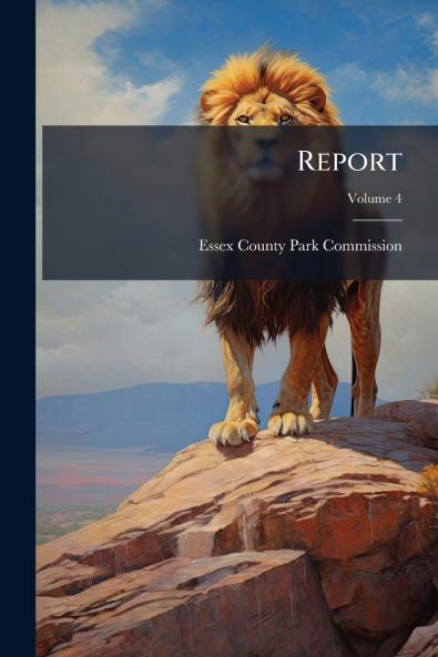 Report; Volume 4