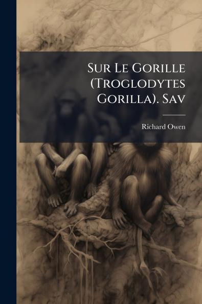 Sur Le Gorille (Troglodytes Gorilla). Sav