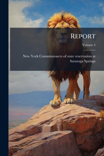 Report; Volume 4