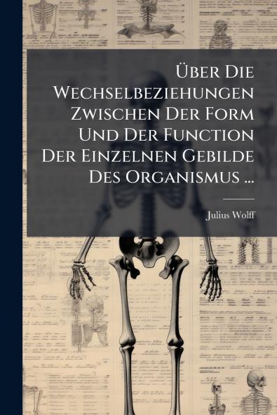 Über Die Wechselbeziehungen Zwischen Der Form Und Der Function Der Einzelnen Gebilde Des Organismus ...