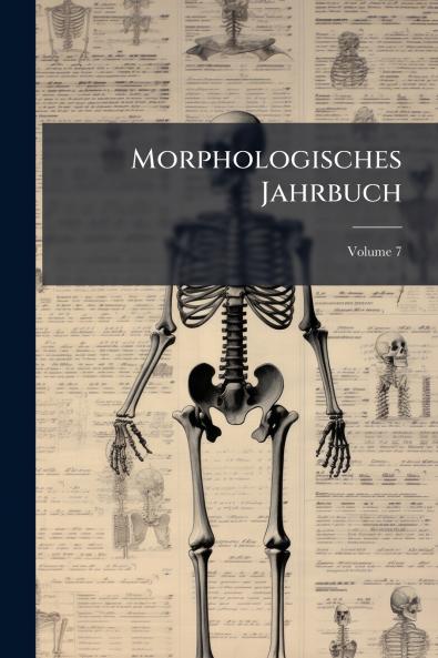Morphologisches Jahrbuch; Volume 7