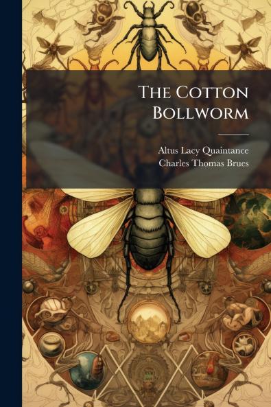 The Cotton Bollworm