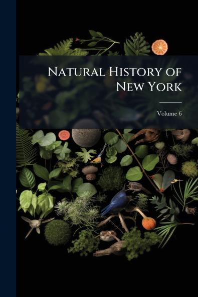 Natural History of New York; Volume 6