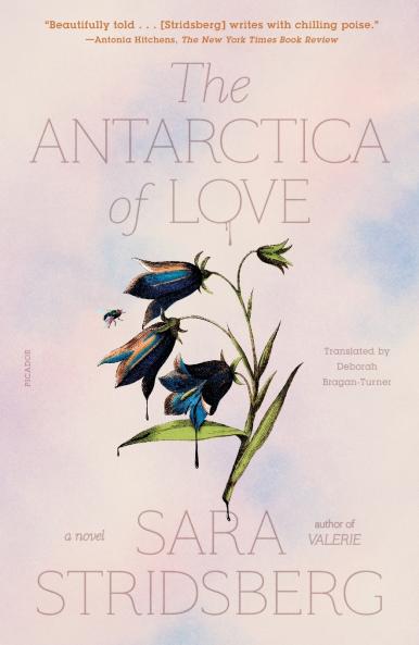 Antarctica of Love