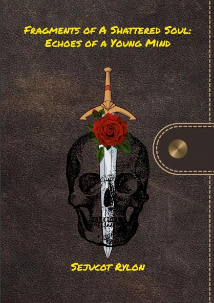 Fragments of a Shattered Soul