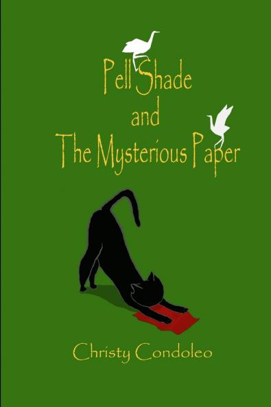 Pell Shade and the Mysterious Paper