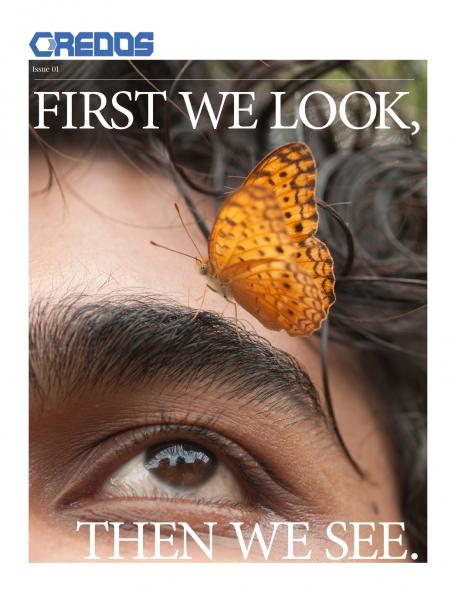 First We Look Then We See Issue 1