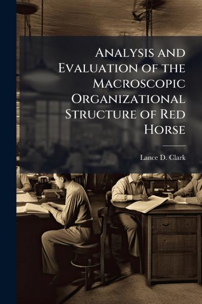 Analysis and Evaluation of the Macroscopic Organizational Structure of Red Horse