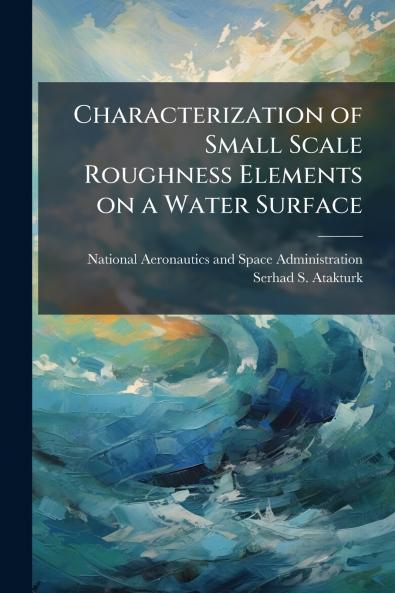 Characterization of Small Scale Roughness Elements on a Water Surface