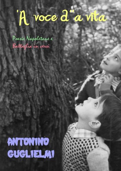 'A voce d''a vita