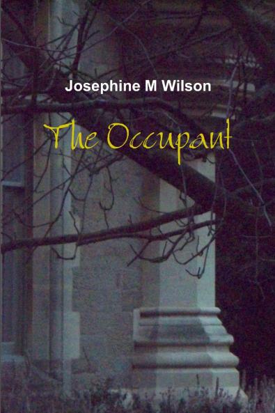 The Occupant