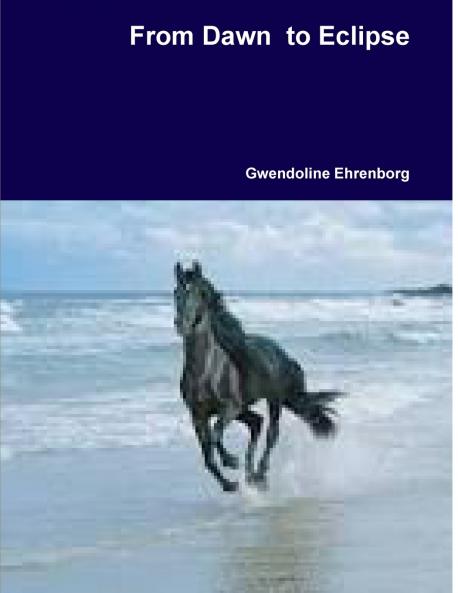 From Dawn  to Eclipse