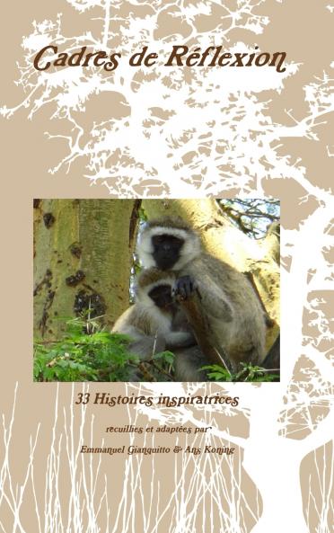 Cadres de R��flexion