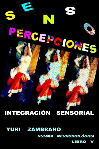 S E N S O P E R C E P C I O N E S  Integración Sensorial