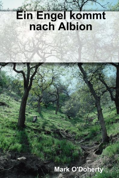 Ein Engel kommt nach Albion
