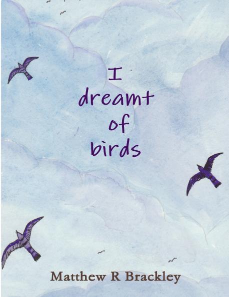 I dreamt of birds
