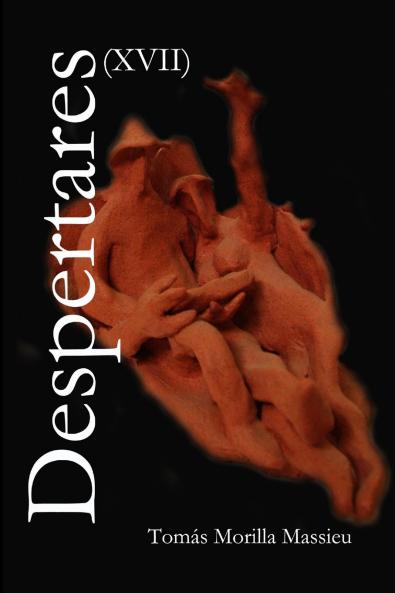 Despertares XVII