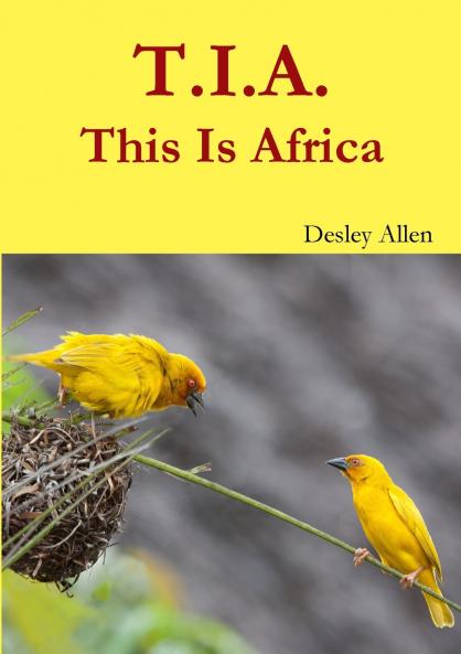 T.I.A.  This Is Africa