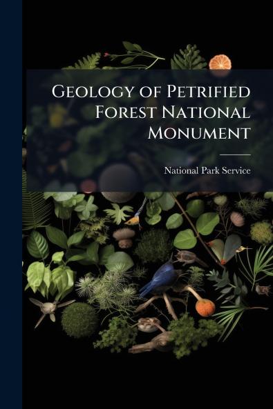 Geology of Petrified Forest National Monument