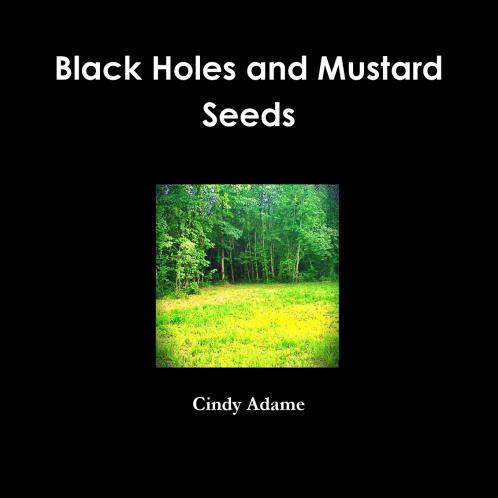 Black Holes and Mustard Seeds