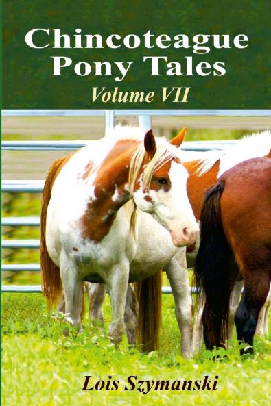 Chincoteague Pony Tales