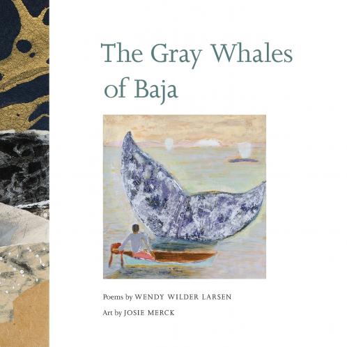 The Gray Whales of Baja