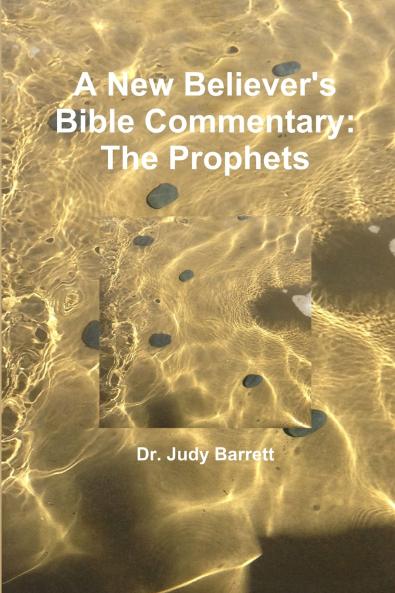 A New Believer's Bible Commentary