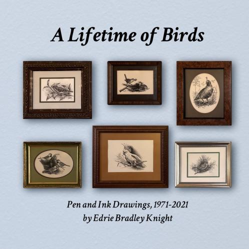A Lifetime of Birds