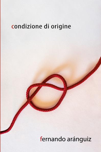 Condizione di origine
