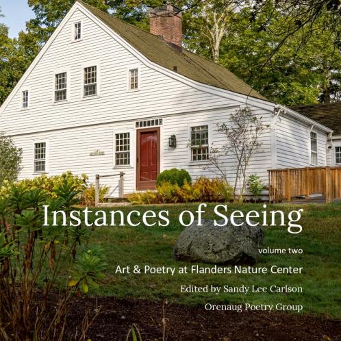 Instances of Seeing Volume 2