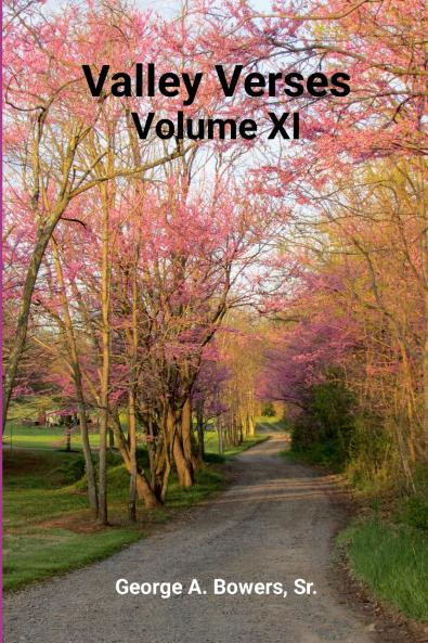 Valley Verses Volume XI