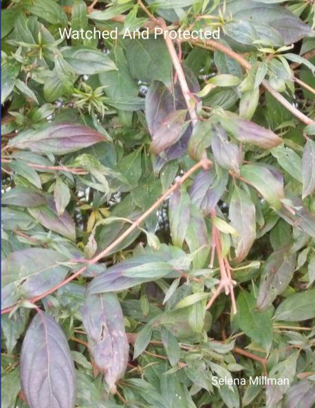 Watched And Protected