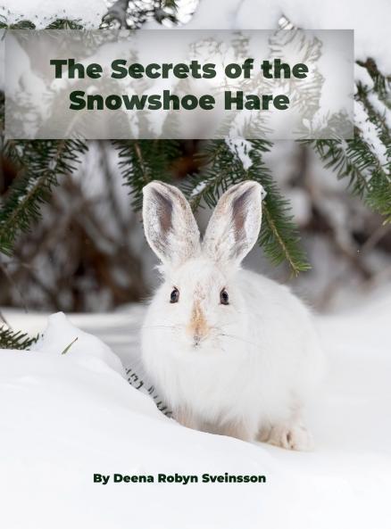 The Secrets of the Snowshoe Hare