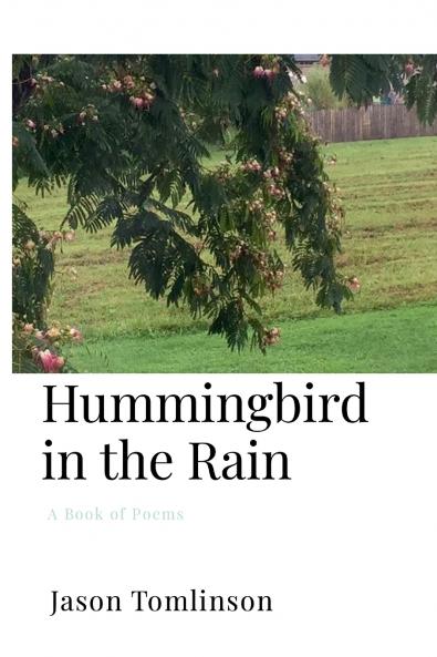 Hummingbird in the Rain