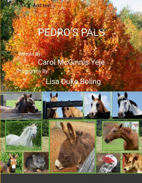 Pedro's Pals