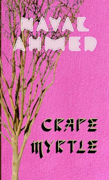 Crape Myrtle