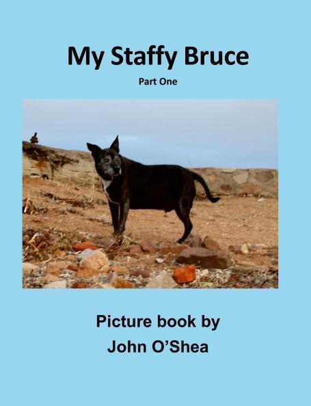 My Staffy Bruce