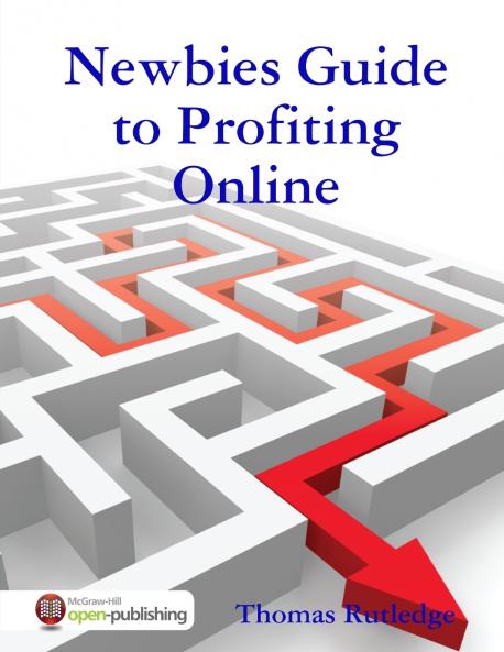 Newbies Guide to Profiting Online