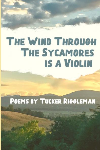 The Wind Through the Sycamores is a Violin