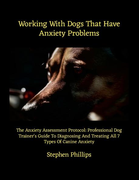 Working With Dogs That Have Anxiety Problems