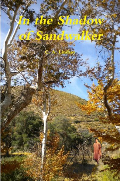 In the Shadow of Sandwalker