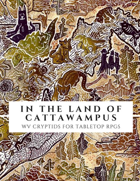 In the Land of Cattawampus