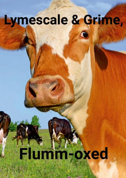 Lymescale & Grime  Flumm-oxed