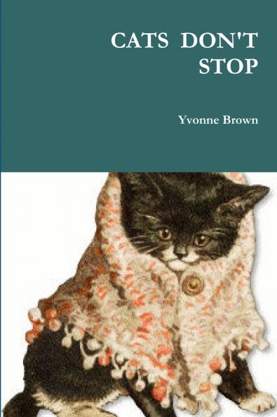 CATS  DON'T     STOP