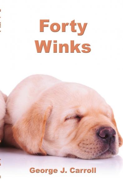 Forty Winks