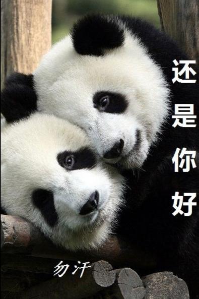 Still you are the one