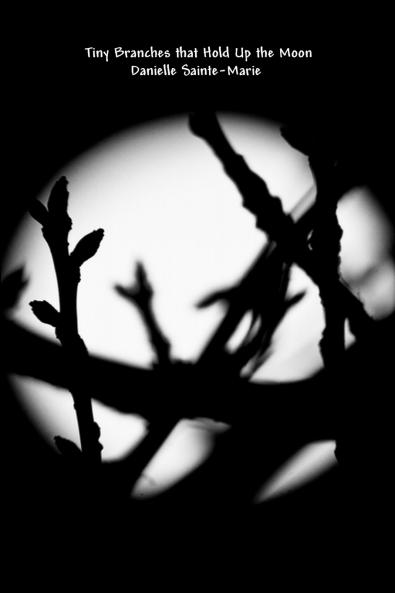 Tiny Branches that Hold Up the Moon