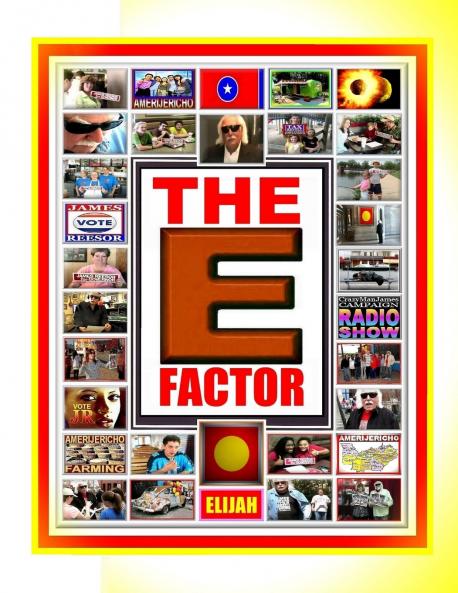 THE E FACTOR